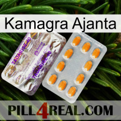 Kamagra Ajanta new12